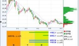 东港股份最新爆料信息网,揭秘公司重大动态与未来战略布局