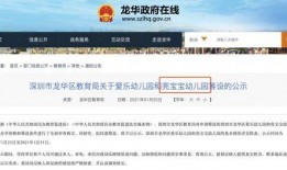 深圳最新爆料消息,揭秘科技巨头新动向与城市未来蓝图