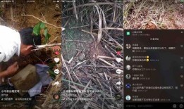 赣州抖音爆料事件最新情况,真相逐步揭晓，网络舆论影响持续发酵