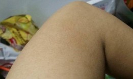 吃鸡皮肤爆料最新实测版